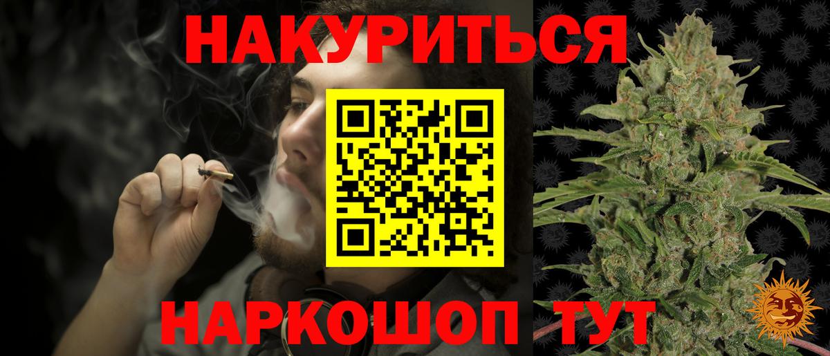 Каннабис планчик Трёхгорный
